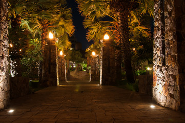 Fototapeta premium a night alley in the park