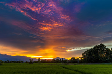 Naklejka na ściany i meble Nature landscape rice terraces against the backdrop of scenic mountains during sunset. Asia