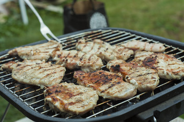 meat on grill, hot barbecue in the garden