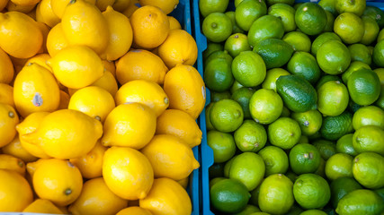 Green and yellow lemons