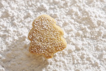 Fir-shaped shortcrust cookie on powdered sugar