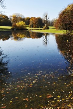 Lake in the autumnal Ostpark, Munich, Bavaria, Germany, Europe