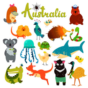 Cute animals collection, baby animals. Australian animals. Spider, parrot, wombat, lizard, jellyfish, shark, crocodile, koala, kangaroo, platypus, turtle, tasmanian devil, snake, birds.