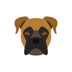 Boxer is a dog. Vector image of a dog's head.