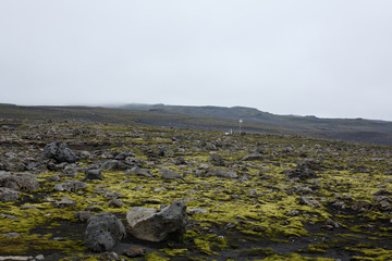 Lava field in Iceland