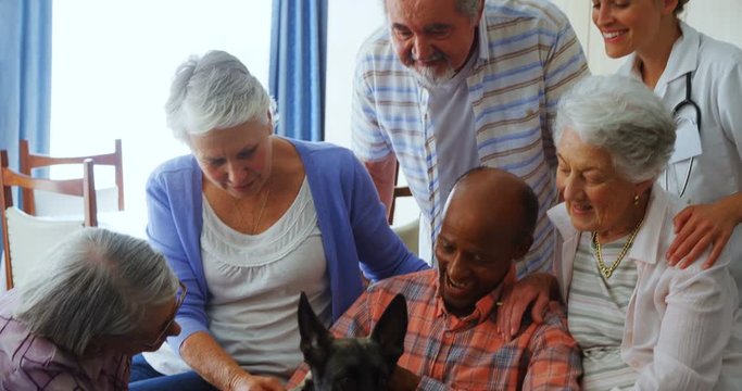 Senior friends petting a dog at retirement home 