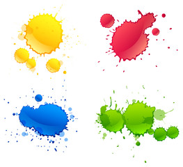 Four different colors paints splash on white background
