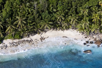 The beach Anse Cachee at Pointe Golette, Island of Mahe, Seychelles, Indian Ocean, Africa