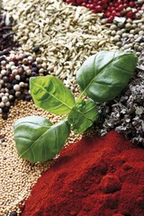 Various spices, mustard seeds, bell pepper powder, basil