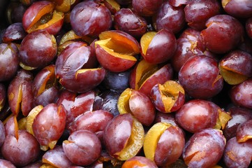 Obraz premium Pitted Prunes (Prunus domestica), prepared to make jam