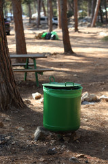 cleaning from debris recreation areas in the forest
