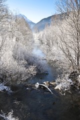 Small brook with thick snow-covered trees between the towns of Ehrwald and Lermoos, Tyrol, Austria, Europe