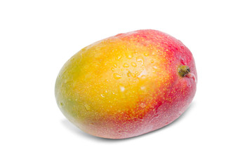 Mango isolated on white