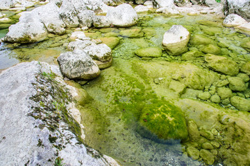 Crystalline waters of Cornappo stream