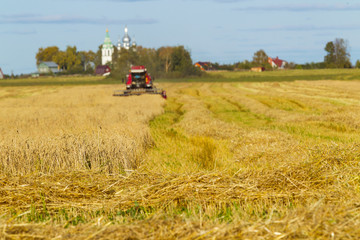 Fototapeta premium Bread field, harvesting, sunny day