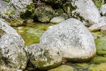 Naklejka na ściany i meble Crystalline waters of Cornappo stream