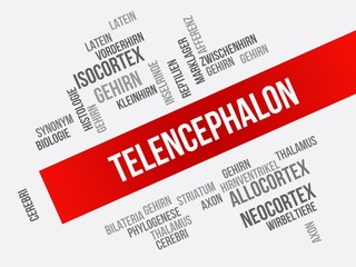 Telencephalon