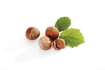 Hazelnuts and leaves