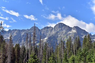 Tatra National Park, Poland, Zakopane