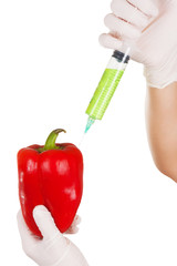 Genetically Modified Products Concept. Red Paprica Pepper Being Injected with Syringe