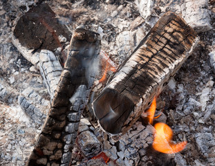 Wood Burning in Fire