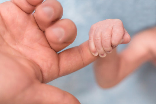Baby's hand holding finger