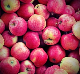 background of tasty red APPLES freshly harvested