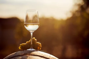 Crédence de cuisine en verre imprimé Vin Glass of white wine with grape at sunset