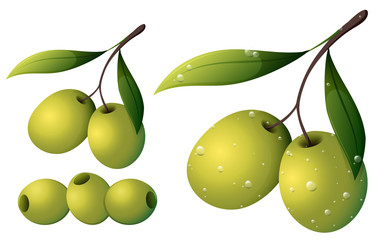 Olives with leaves on white