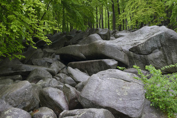 Lautertal Felsenmeer Odenwald