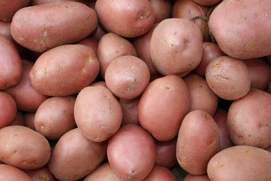 background of many red potatoes