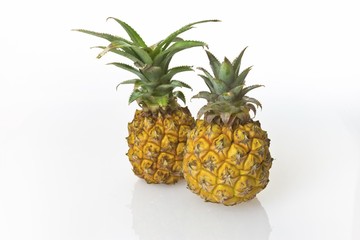 Two Pineapples (Ananas comosus)