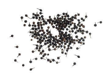 Cubeb, tailed pepper or Java pepper (Piper cubeba) from Indonesia