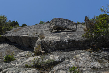 Fototapeta na wymiar cool stone near Fontanaccia corse