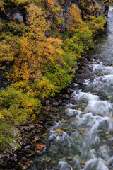 Schlucht der Driva im Herbst, Dovrefjell, Norwegen