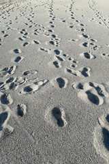 Many footsteps on a sandy beach
