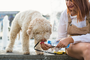 Woman gives water to her dog