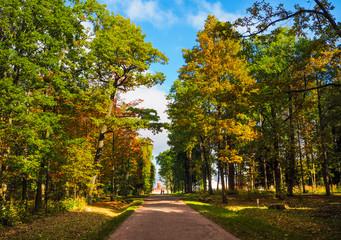 Autumn landscape. Autumn in the Park. Path in the autumn Park. Alexanrovsky Park in St. Petersburg....
