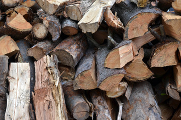 Stacks of raw Korean woods. Pic was taken in August 2017.