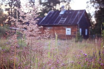 Fototapeta na wymiar village grass house russia nature