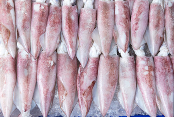Fresh squid.