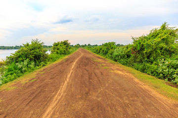 Path on a Quiet Dirt Road under Cloudy Sky