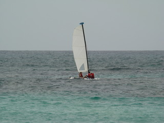 Obraz premium sailing