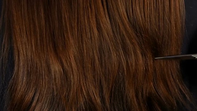 Hair cutting with scissors. Hairdresser do haircut closeup.