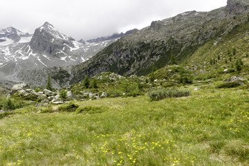 Fototapeta na wymiar panoramic view from a valley in Adamello Brenta park
