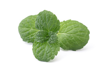 Green Mint