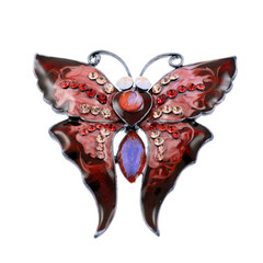  broche papillon, fond blanc