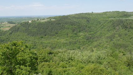 Panorama di Grisignana in Croazia
