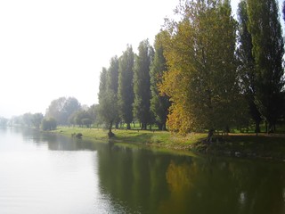 Arbres au bord d'un lac en automne, avec de la brume