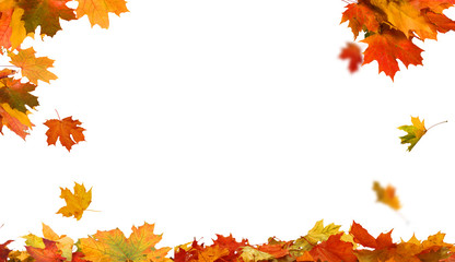 Naklejka na ściany i meble Autumn falling maple leaves isolated on white background